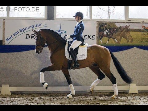 Franz Joseph jr - 50 Tage HLP Schlickau 2019