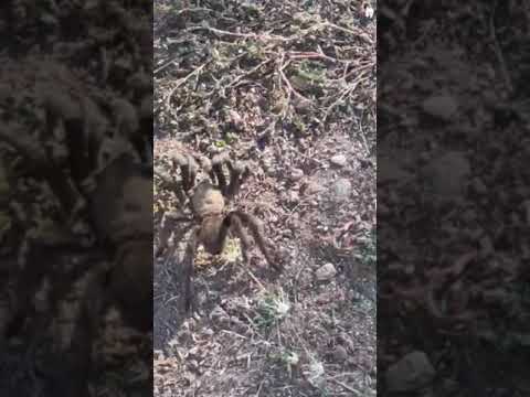 it’s the time of the year🤣