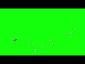 Birds Flying Green Screen Green Screen Video Doves Bird Flying
