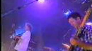 The Mutton Birds - Too Close To The Sun (live)