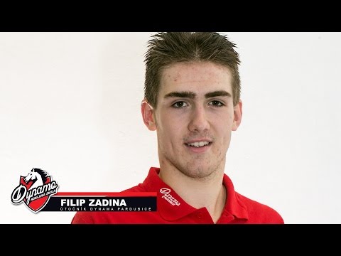 Přál bych si rozhodnout zápas, říká Filip Zadina