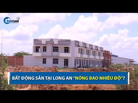 datnenlonghau.vn