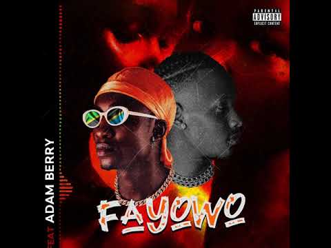 TanduBoy ft AdamBerry / FAYOWO (Official Audio)
