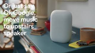 Introducing Nest Audio, from Google