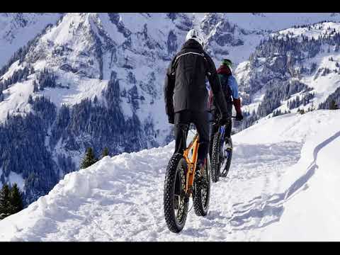 San Martín natalicio 248 años