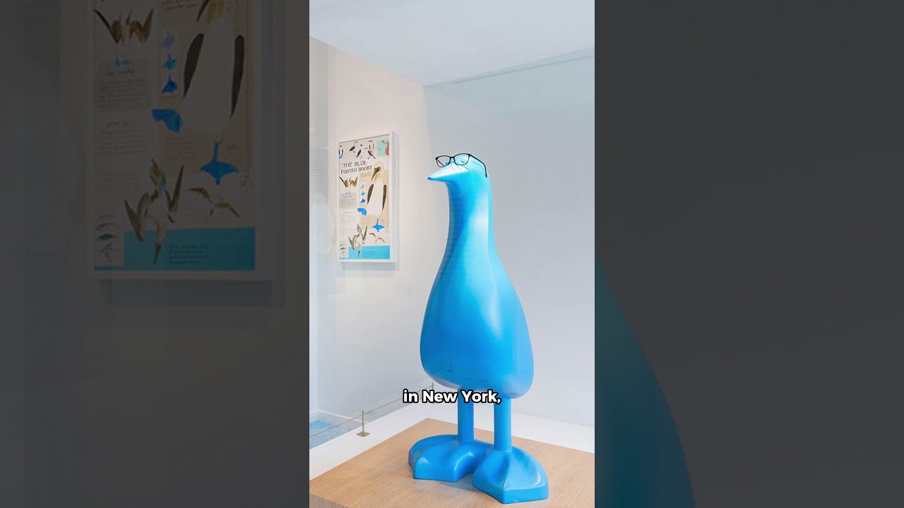 Inside Warby Parker’s Library-Inspired Store Design