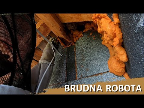 Brudna robota - usuwanie gniazda - likwidacja gniazda - gniazdo szerszeni - szerszenie