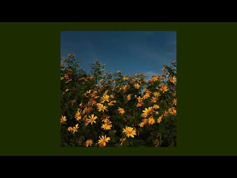 Lucid State - In My Garden (Official Audio)