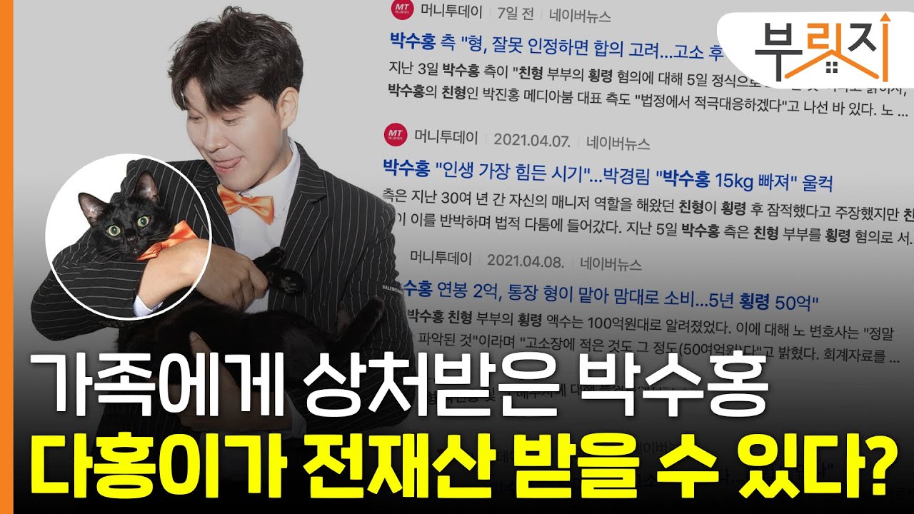[부릿지톡] 가족에게 상처받은 박수홍, 다홍이가 전재산 받을 수 있다?