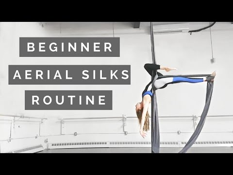Aerial Silks Beginner Choreography to Winter Song