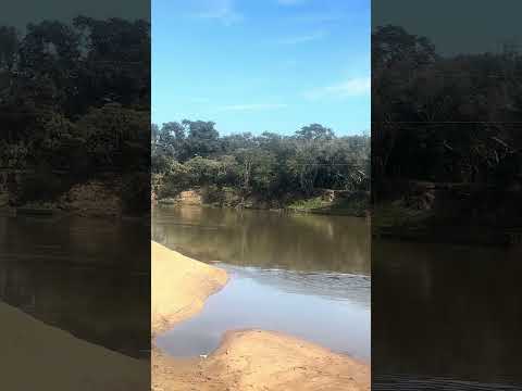 Rio Sapucaí São Sebastião da Bela Vista/ Silvianópolis MG #youtubeshorts