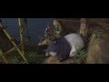The Wild Life Rosie S Butt Rub On A Pole