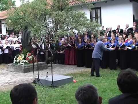 VI rukovet na otvaranju mokranjcevih dana.wmv