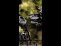 Malayalam Bike Status Rider Status Bike Lover Whatsappstatus Ktm Lover Kerala