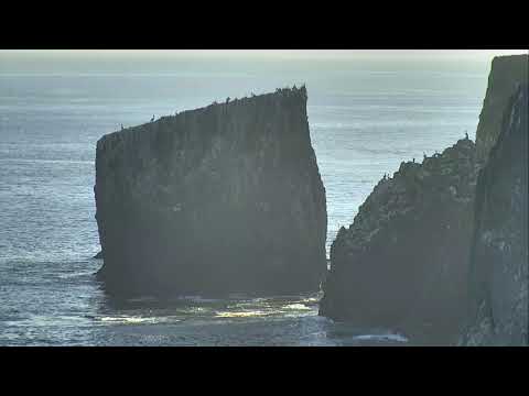 Anacapa Island Cove - Channel Islands National Park Cam 10-26-2017 08:19:07 - 09:19:08