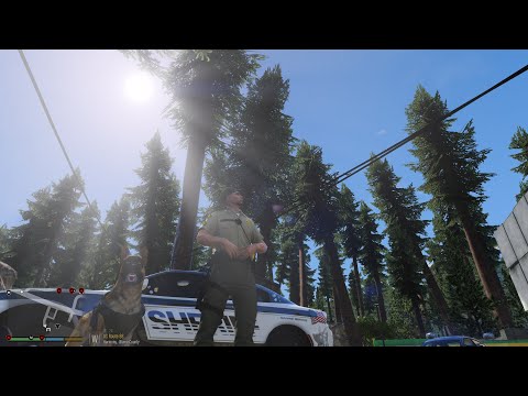 GTA V | GTA 5 | LSPDFR | K9 Patrol | My dog takes down a bad guy with force!