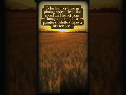 Mastering Color Temperature for Stunning Photos