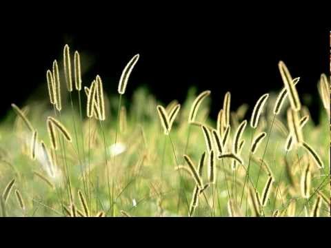 Breathe In Air - Phaeleh (feat. Soundmouse)