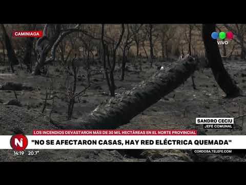 El intendente de Caminiaga, una de las localidades más afectadas por el fuego, habló en Telefe Notic