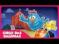 Circo Das Galinhas Galinha Pintadinha 5 OFICIAL