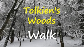 Snow Forest Walk At Tolkien's Woods - Virtual Trails For Treadmill Scenery