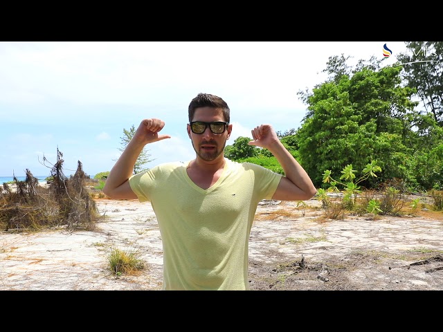Video - Image - Wer die Seychellen mag, wird Bird Island lieben