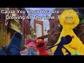 Sesame Street Smater Stronger Kinder Song Lyric Video