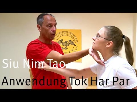 Siu Nim Tao Anwendung /  Bong Sao - Tan Sao - Tok Har Par