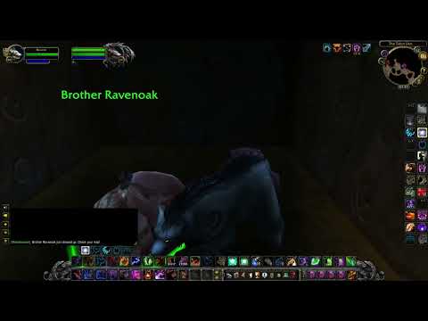 Who is Brother Ravenoak - WoW Classic WOTLK rare spawns