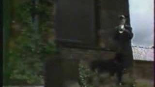 a certain ratio- forced laugh