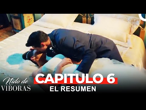 El Resumen Del 6° Capítulo