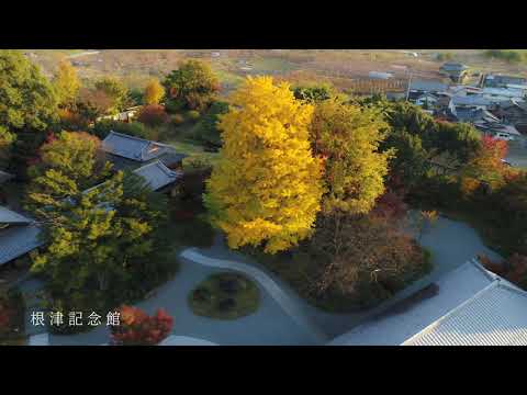 ドローン紀行in山梨市
