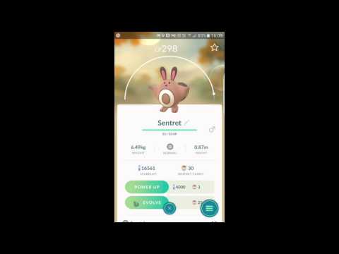 SENTRET to FURRET Evolution! Pokemon Go!