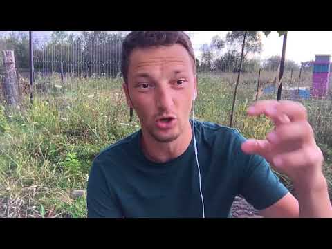 Suveranitatea lui Dumnezeu asupra păcatului din viața noastră | Live 078