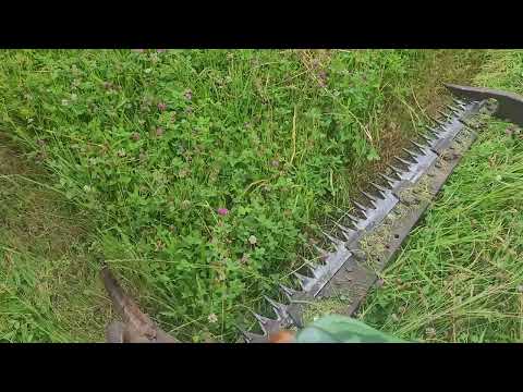 MÖRTEL Messerbalken Mähbalken HELA D 634 L MWM D 325-3 3 Zylinder Luftgekühlt Hermann Lanz Aulendorf