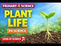 P4 Science Lessons One Two And Three Topic 1Term1 PLANT LIFE