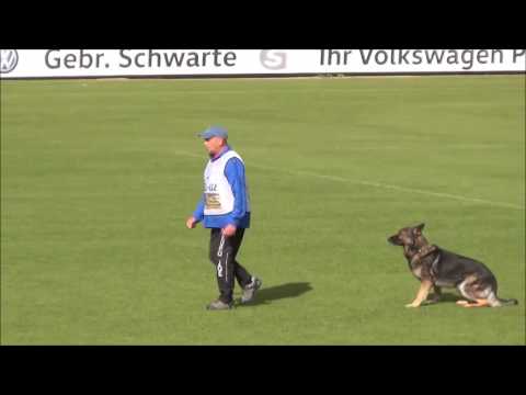 WUSV WK IPO 2016 Frans Hannes B