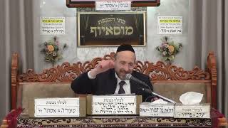 הרב אהרון בן אדיבה  •  משנכנס אדר מרבין בשמחה (בית הכנסת מוסאיוף) - התמונה מוצגת ישירות מתוך אתר האינטרנט יוטיוב. זכויות היוצרים בתמונה שייכות ליוצרה. קישור קרדיט למקור התוכן נמצא בתוך דף הסרטון