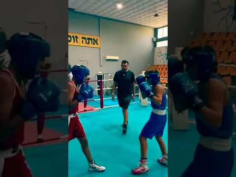 Feint + LEFT HOOK = Instant Knockout (Easy Drill  #BoxingCombo #FeintToHook #LeftHook #boxing