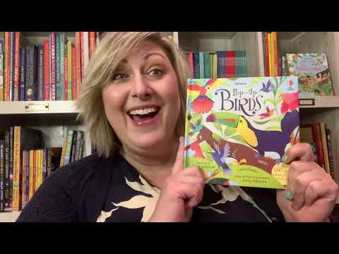 Pop up Birds ~ Usborne Books & More