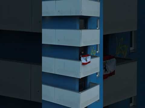 BONEK -B.E.L.L.A- BONEK