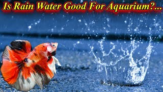 Is Rain Water Good For Aquarium  Fishes?... / Fish Aquarium Tamil