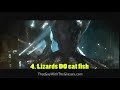 Nostalgia Critic S Confessions That S Alotta Fish