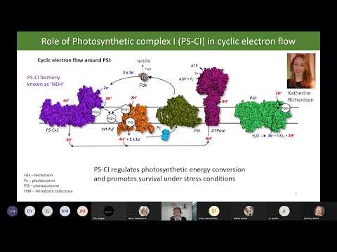 LCN lunchtime seminar - Dr Maxie Roessler