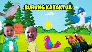Download lagu Burung kakaktua | Versi baru | Kumpulan | Lagu Anak TV | Upin Ipin Nyanyi mp3 Download lagu Burung kakaktua | Versi baru | Kumpulan | Lagu Anak TV | Upin Ipin Nyanyi mp3