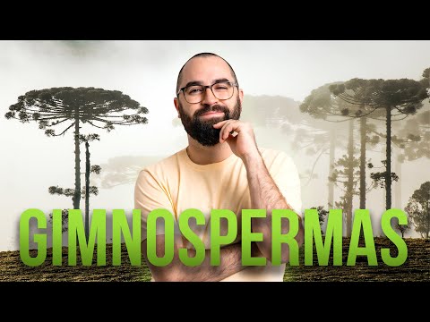 Gimnospermas - Aula 04 - Módulo 5: Botânica
