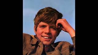 Heintje - Schwalbenlied