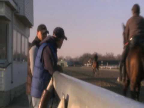 Backstretch Buzz: Challenges of Training