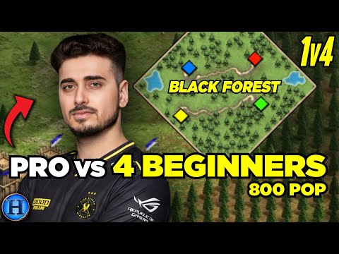 Pro 200 Pop vs 4 Beginners 800 Pop ON BLACK FOREST