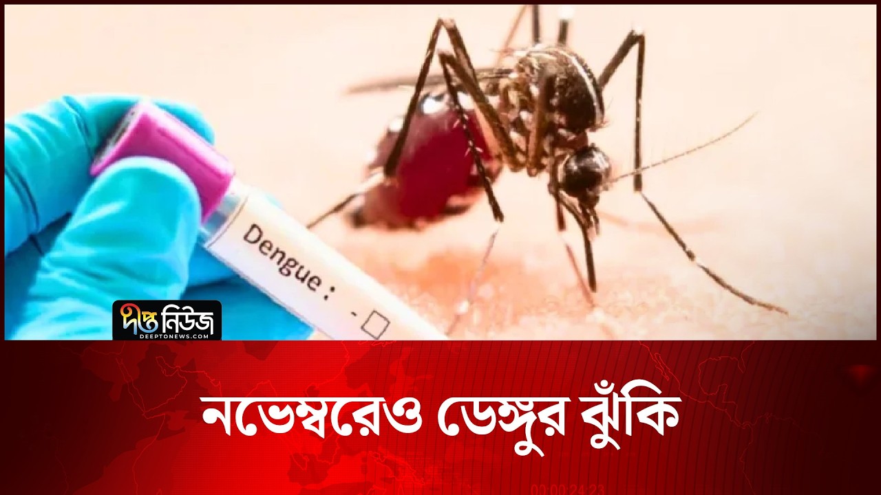 নভেম্বরেও ডেঙ্গুর ঝুঁকি দেখছেন বিশেষজ্ঞরা | Dengue Risk | Deepto News